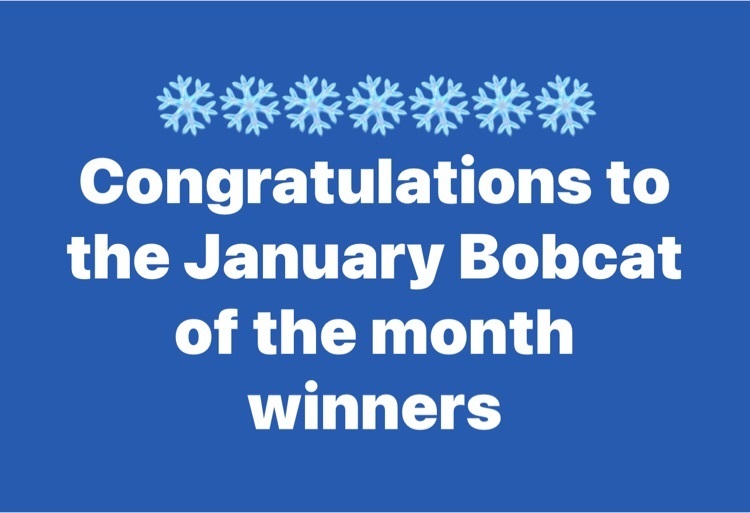 January Bobcat of the Month