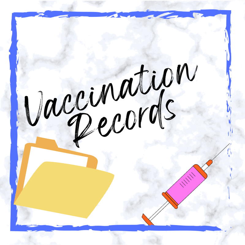 vaccination records file and syringe