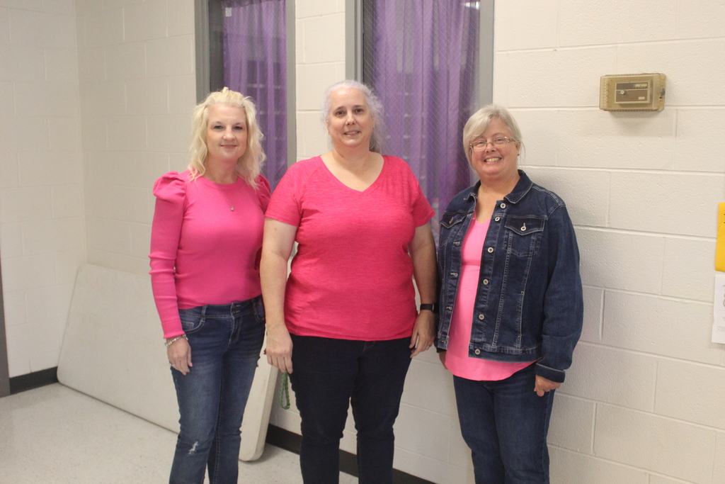 teachers dressed up in pink